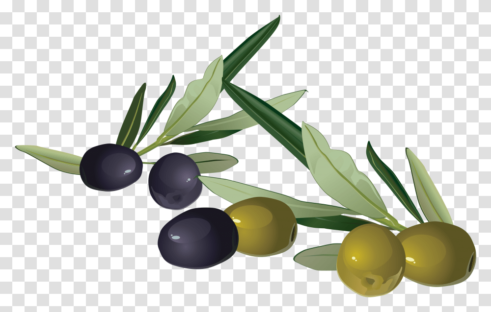 Olive Olives Clipart, Plant, Fruit, Food, Blueberry Transparent Png