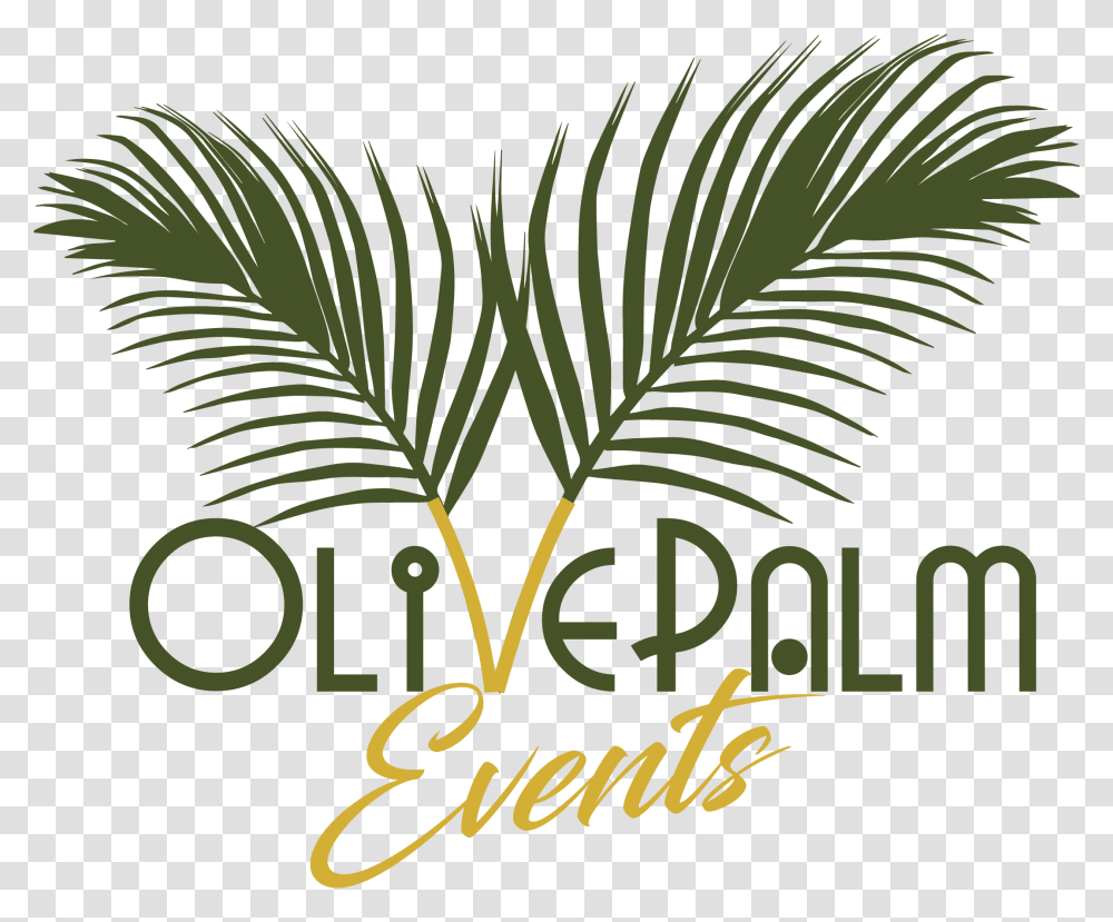Olive Palm Olive And Palm Logo, Plant, Green, Leaf, Text Transparent Png