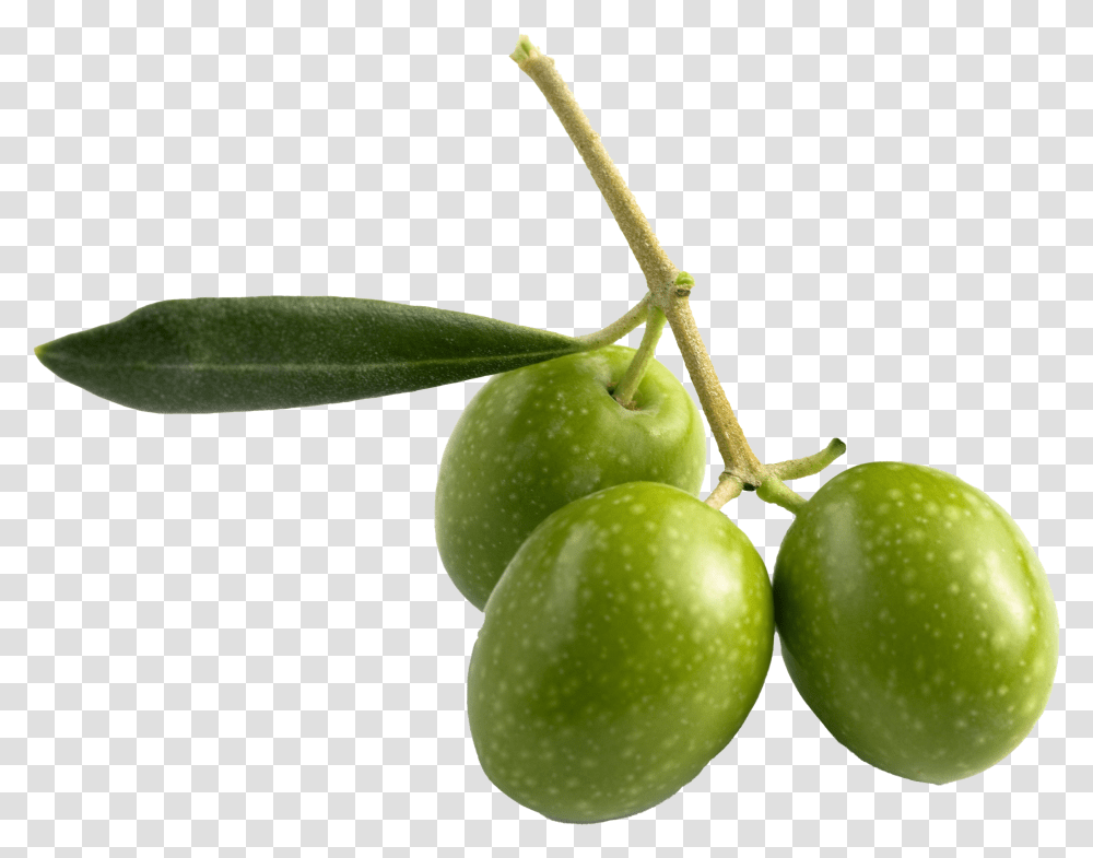 Olive Pic All Olive Fruit, Plant, Food, Grapes, Plum Transparent Png