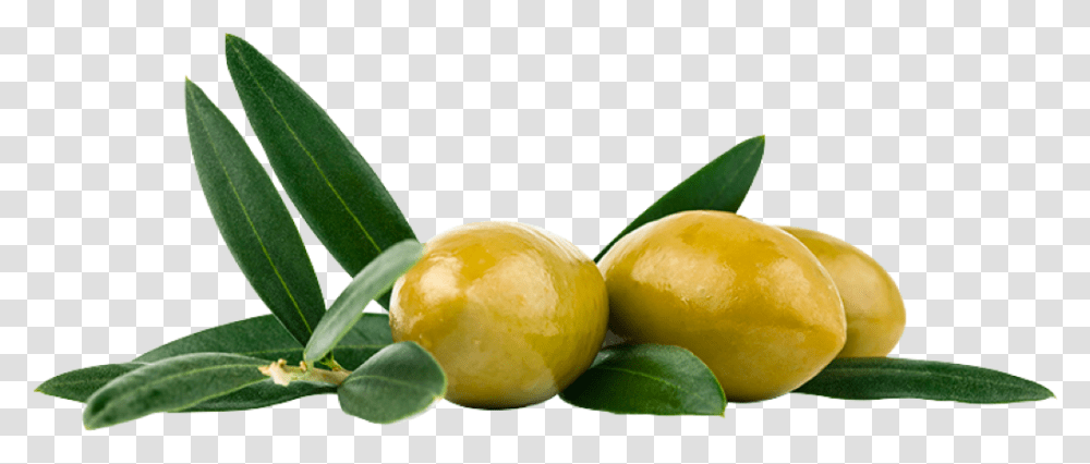Olive, Plant, Citrus Fruit, Food, Lemon Transparent Png