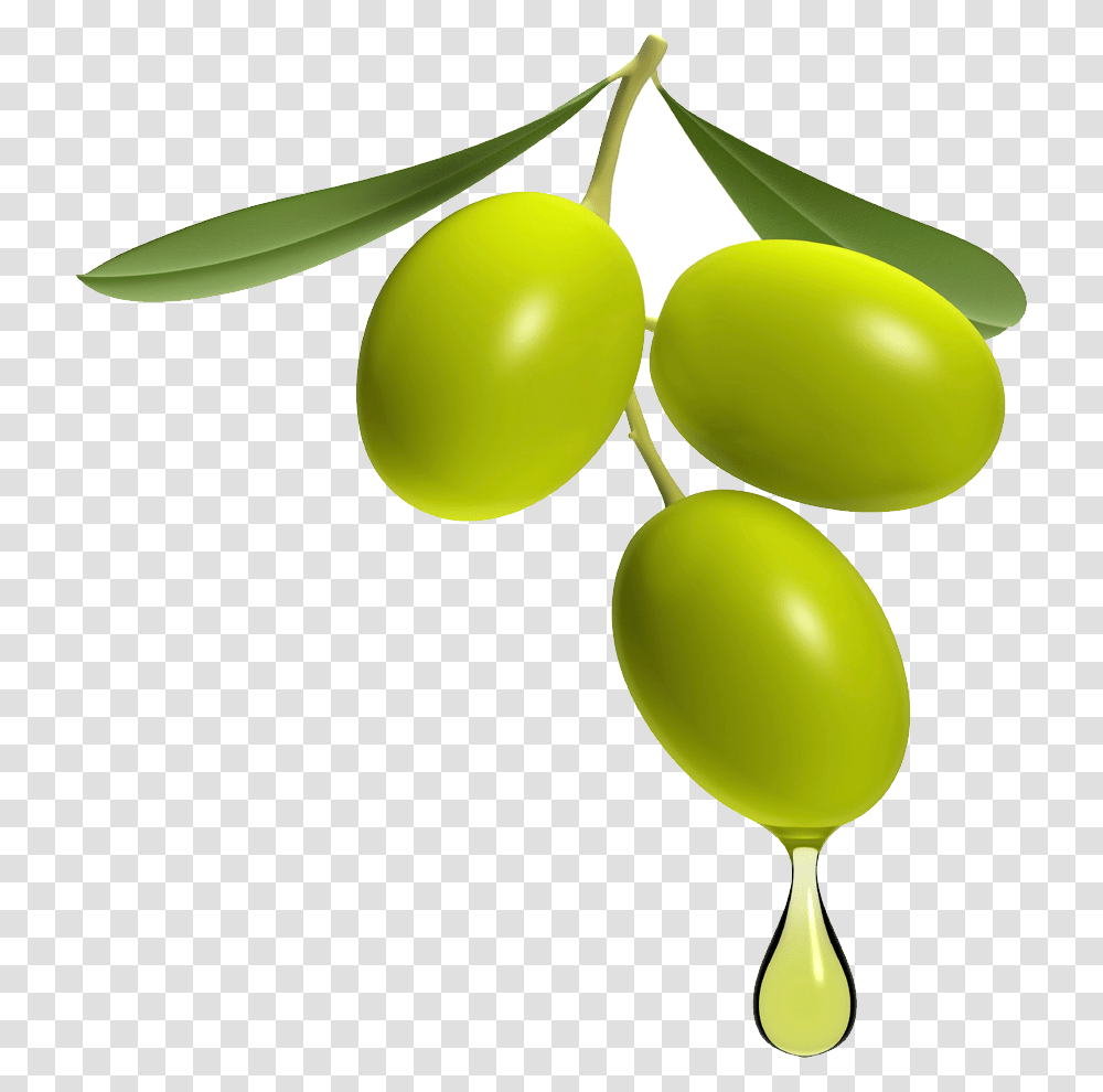 Olive, Plant, Fruit, Food, Green Transparent Png