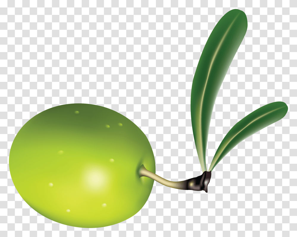Olive, Plant, Green, Fruit, Food Transparent Png