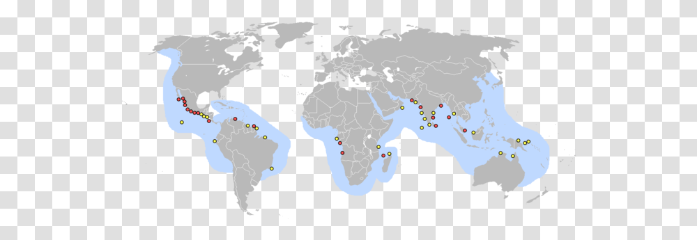 Olive Ridley Sea Turtle Iraqi Passport Visa Free Countries, Map, Diagram, Plot, Atlas Transparent Png