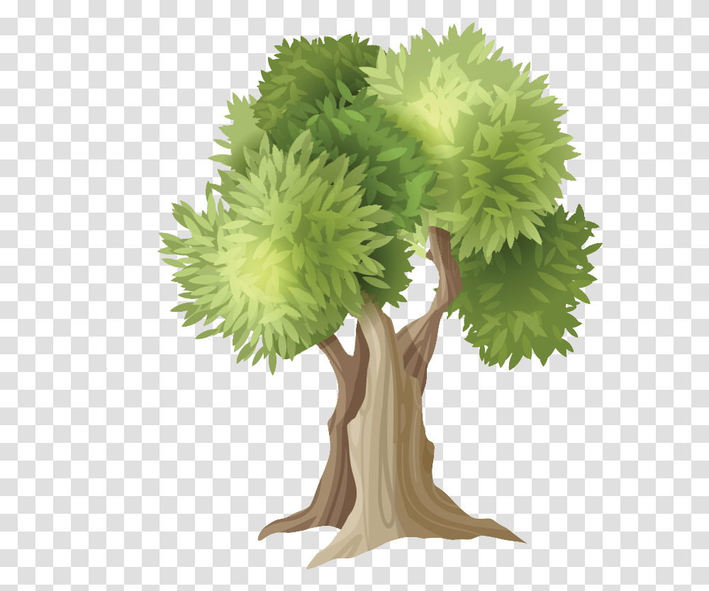 Olive Roads Home Clip Art, Plant, Tree, Graphics, Clothing Transparent Png
