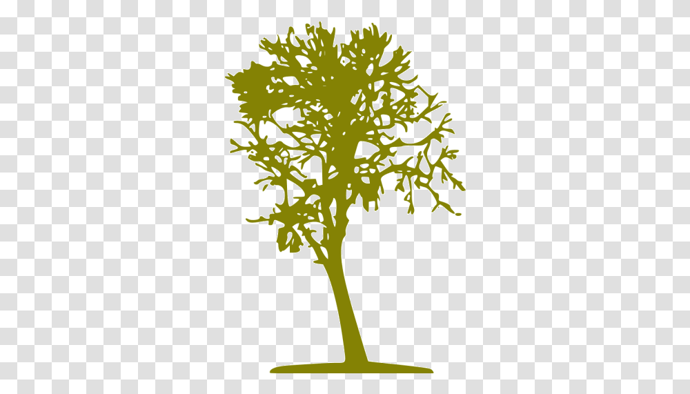 Olive Tree 16 Icon Free Olive Tree Icons Tree, Plant, Green, Graphics, Art Transparent Png