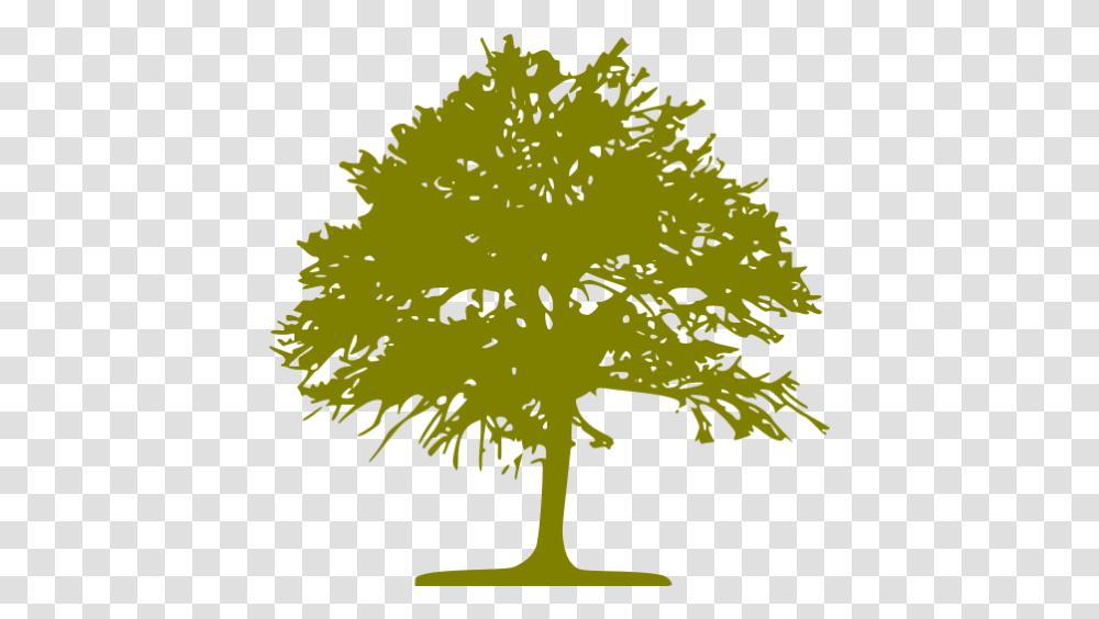 Olive Tree 46 Icon Free Olive Tree Icons Raw And Cold Extracted Honey Sidr, Plant, Leaf, Maple, Vegetation Transparent Png