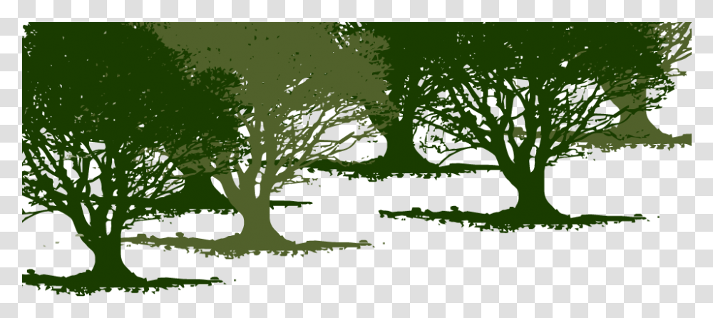 Olive Tree Background Illustration Full Size Oak, Plant, Grass, Green, Tree Trunk Transparent Png