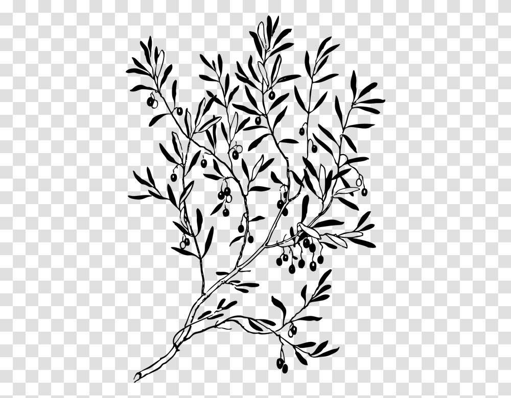Olive Tree Black And White, Gray, World Of Warcraft Transparent Png