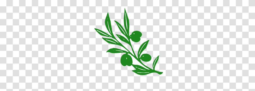 Olive Tree Branch Clip Art, Plant, Leaf, Flower, Blossom Transparent Png