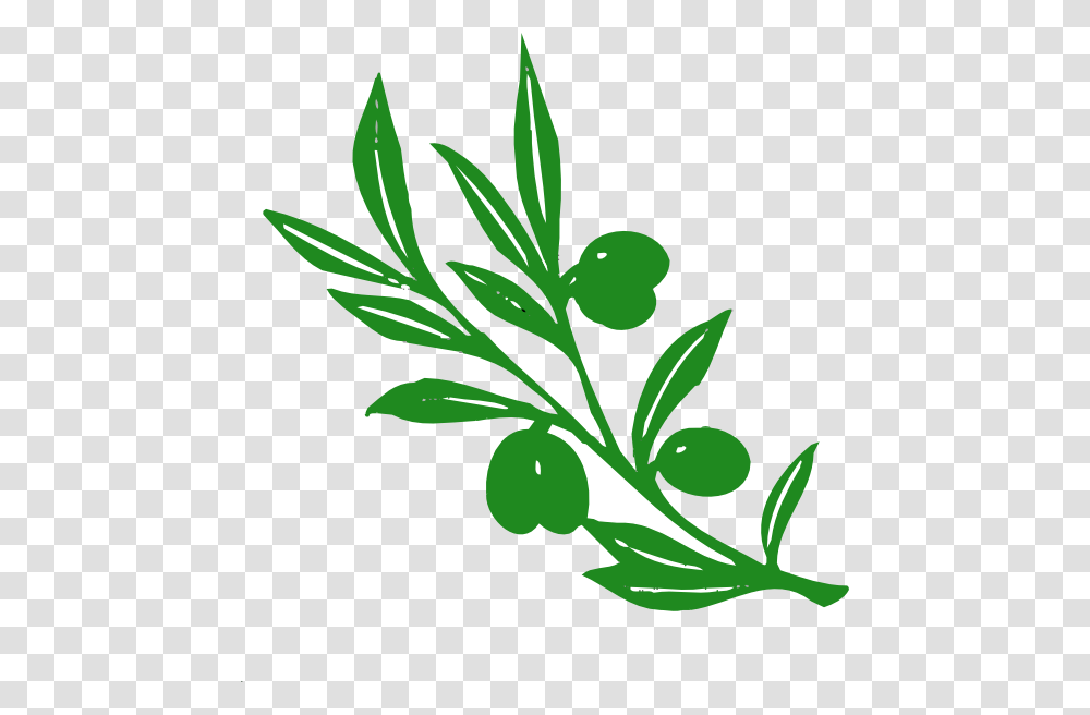 Olive Tree Branch Clip Art, Vase, Jar, Pottery, Plant Transparent Png
