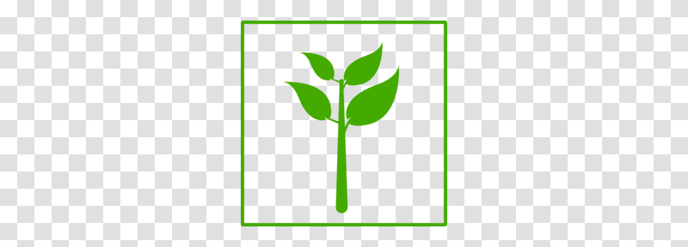 Olive Tree Clip Art, Plant, Vegetable, Food, Produce Transparent Png
