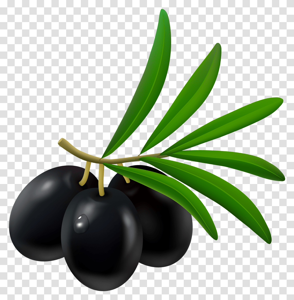 Olive Tree Clipart Black And White Banner Royalty Free Olives Clipart, Plant, Fruit, Food, Leaf Transparent Png