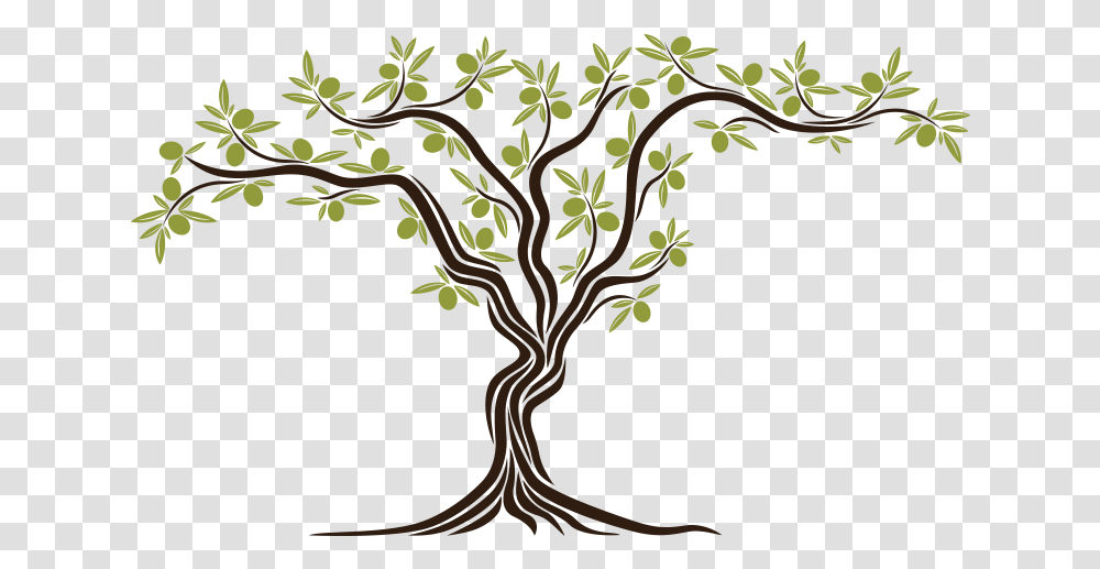 Olive Tree Clipart Library Stock Stefas Mediterranean Background Olive Tree Clipart, Plant, Root, Tree Trunk, Flower Transparent Png