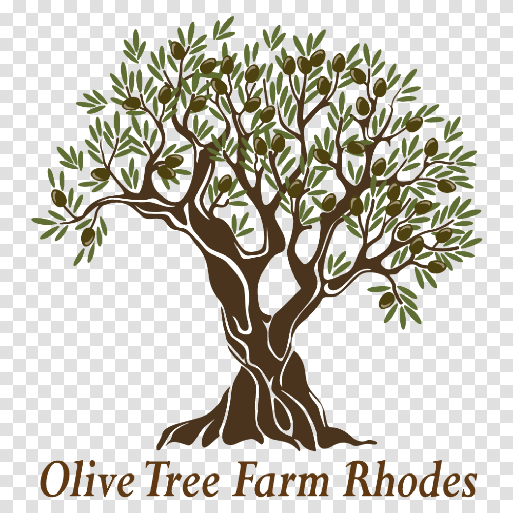 Olive Tree Farm Greek Olive Tree, Plant, Vegetation, Tree Trunk, Bush Transparent Png