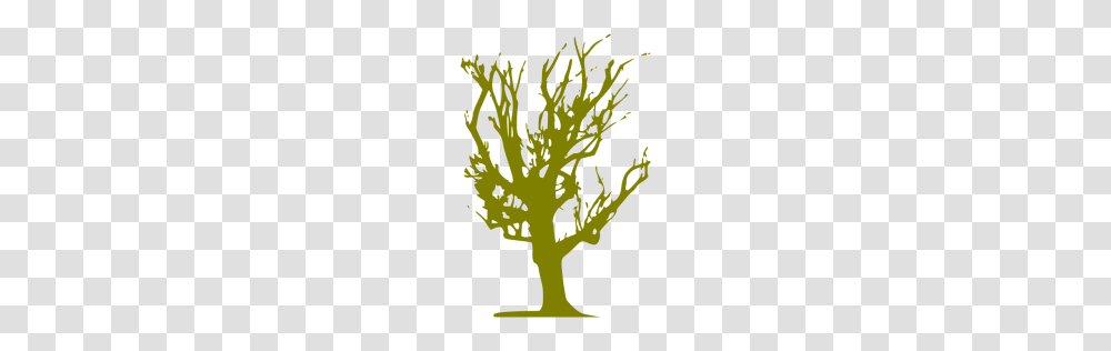 Olive Tree Icon, Green, Plant, Texture, Meal Transparent Png