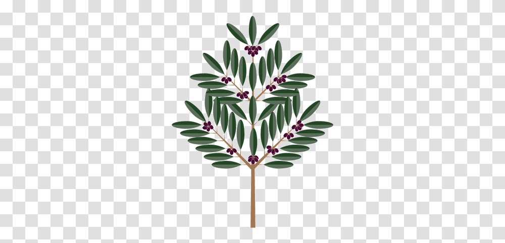 Olive Tree Illustration, Plant, Leaf, Flower, Blossom Transparent Png
