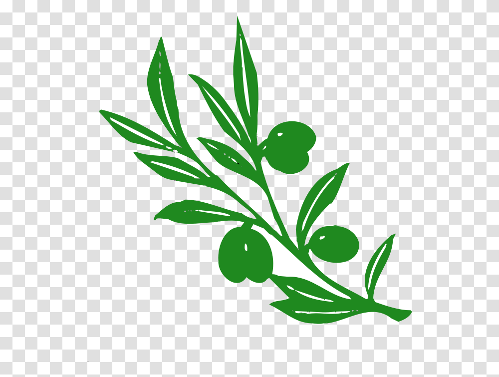 Olive Tree Nature Olive Tree Athena Symbol, Plant, Vase, Jar, Pottery Transparent Png