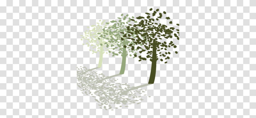 Olive Tree Travel Olive, Plant, Leaf, Rug, Flower Transparent Png