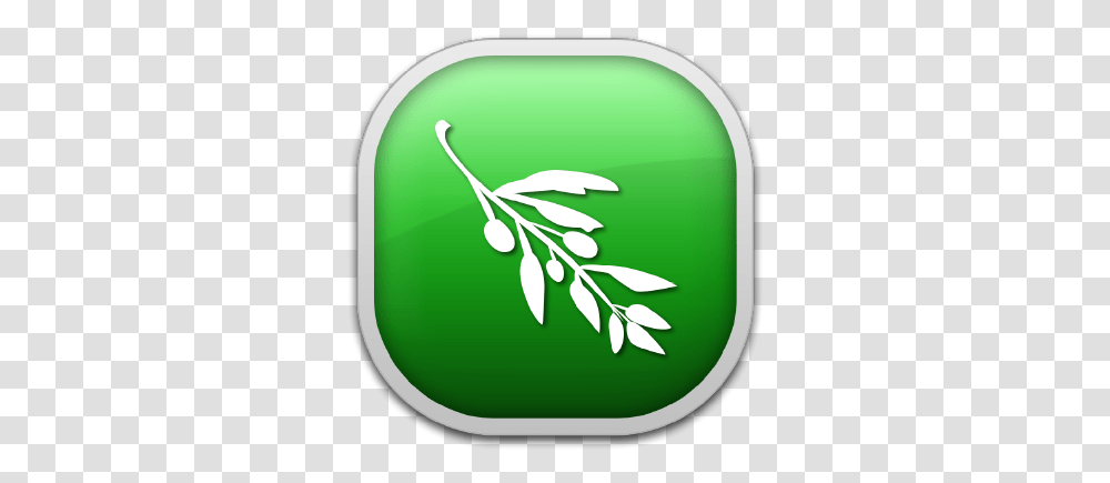 Olive Video Editor Logo Olive Video Editor Logo, Tennis Ball, Sport, Sports, Plant Transparent Png