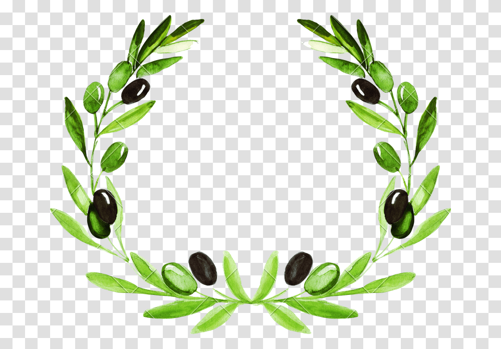 Olive Wreath Background, Vegetation, Plant, Leaf, Green Transparent Png