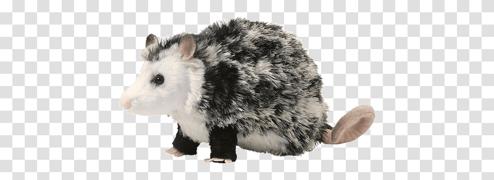 Oliver Possum, Animal, Mammal, Rodent, Bear Transparent Png