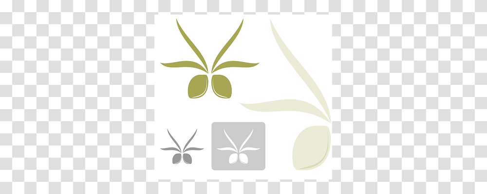 Olives Plant, Leaf, Stencil, Vase Transparent Png