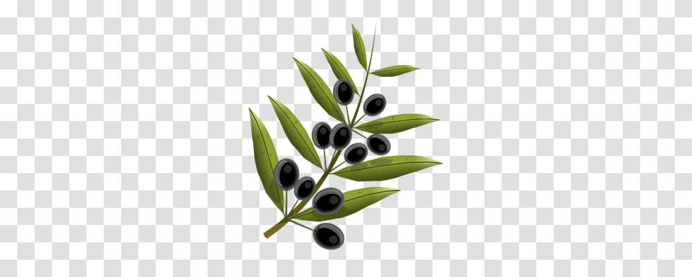 Olives Food, Leaf, Plant, Floral Design Transparent Png