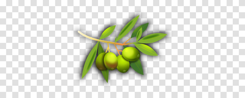 Olives Plant, Fruit, Food, Annonaceae Transparent Png