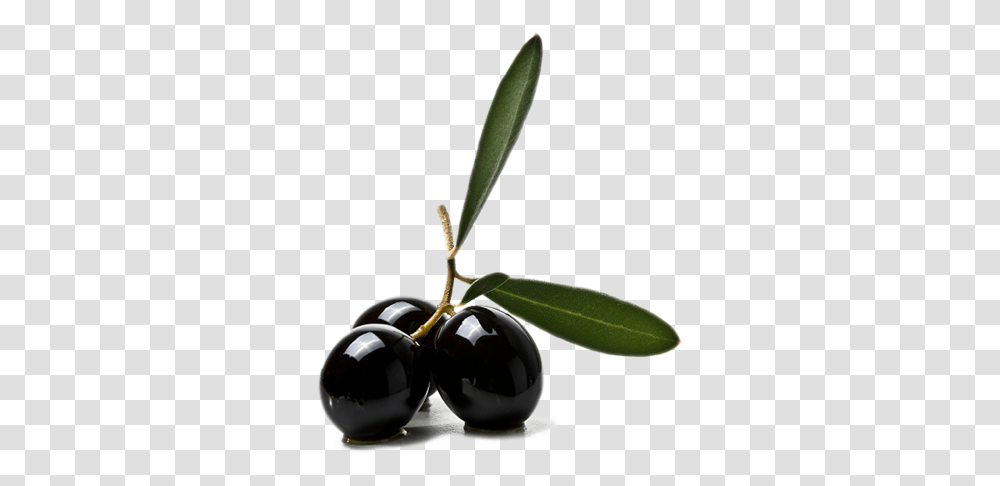 Olives Clipart Web Icons, Plant, Fruit, Food, Leaf Transparent Png