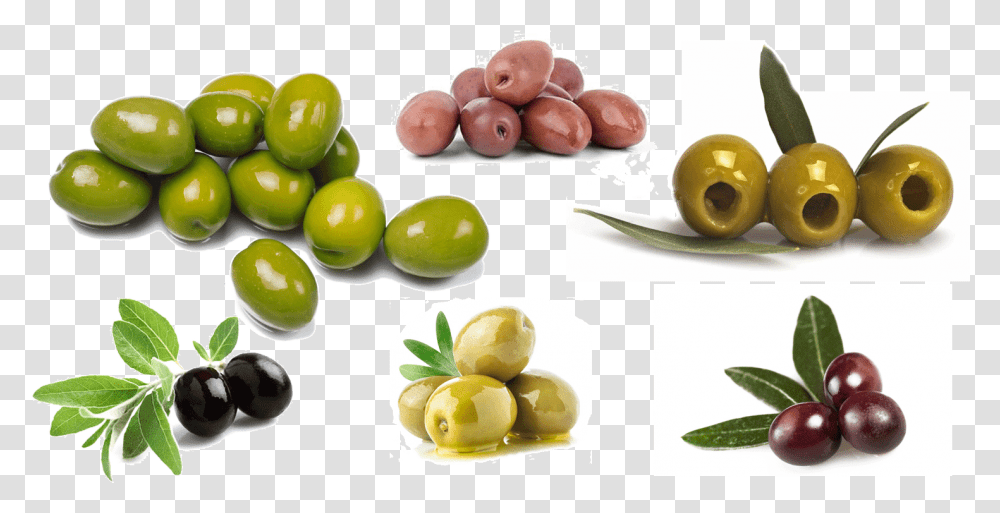 Olives Download Arbequina Evoo, Plant, Fruit, Food, Grapes Transparent Png