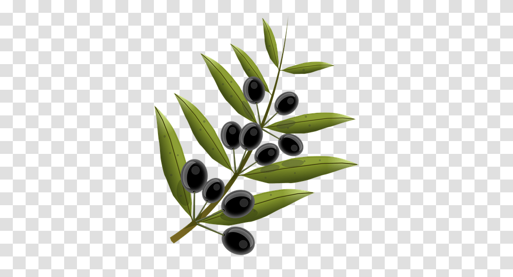 Olives Fruits Olive Tree Oil Cricut Images, Leaf, Plant, Floral Design, Pattern Transparent Png
