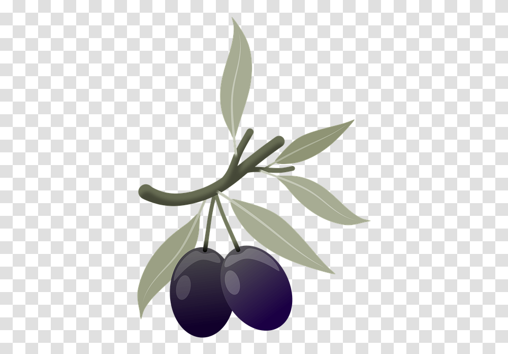 Olives Fruits Plant Free Image On Pixabay Olives Plant, Food, Leaf, Scissors, Blade Transparent Png