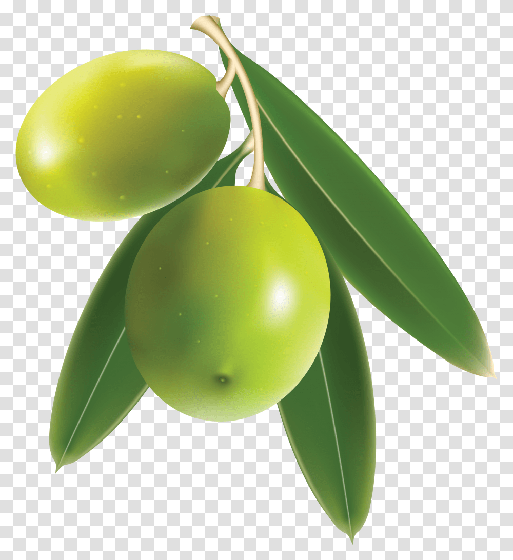 Olives Hd Hdpng Images Pluspng Olive, Plant, Fruit, Food, Plum Transparent Png