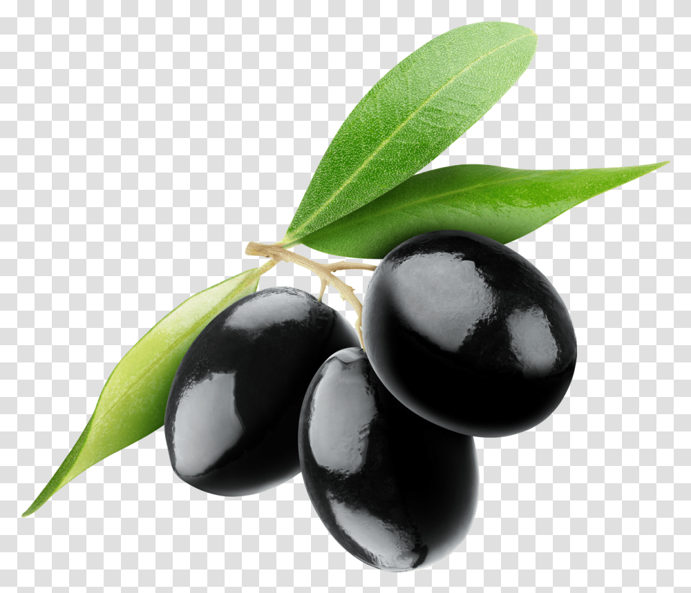 Olives Image Olives, Plant, Fruit, Food, Banana Transparent Png