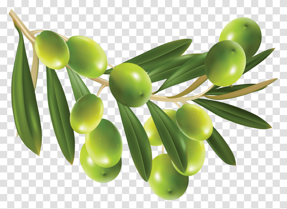 Olives Image Olives, Plant, Green, Tree, Food Transparent Png