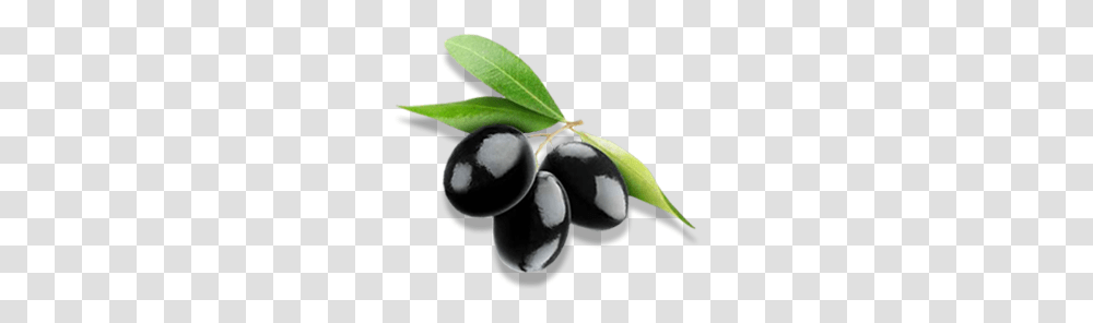 Olives Images Free Download Olive, Plant, Fruit, Food, Plum Transparent Png