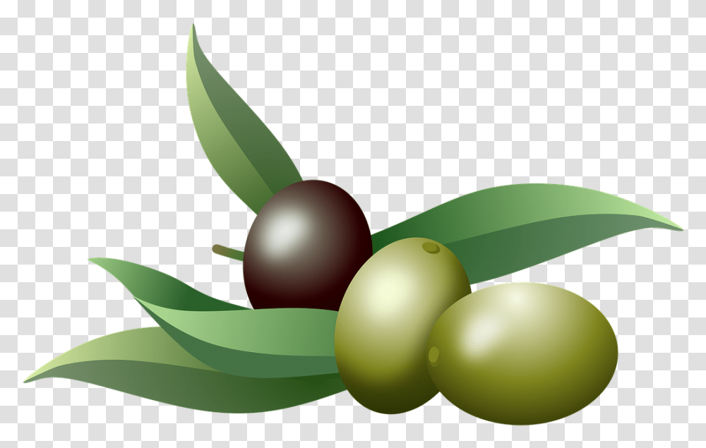 Olives Oil Fruits Olive Olive Oil Branch, Plant, Green, Vegetation, Tree Transparent Png