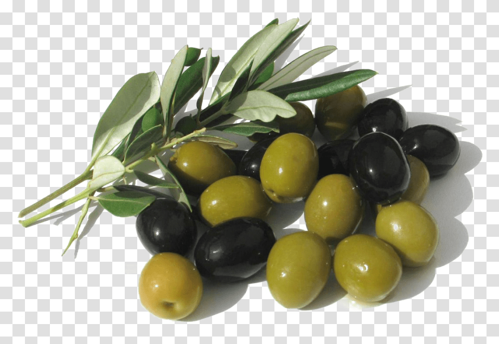 Olives Picture Green And Black Olives, Plant, Fruit, Food, Grapes Transparent Png