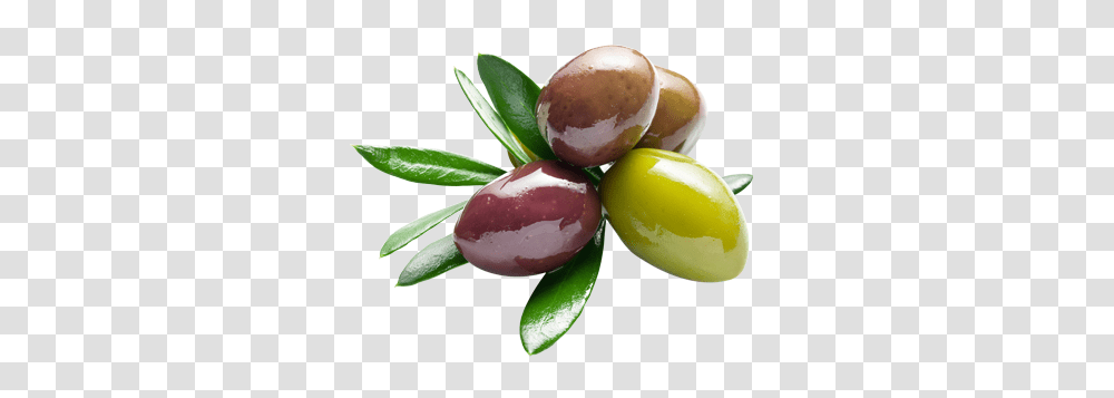 Olives, Vegetable, Plant, Food, Fruit Transparent Png