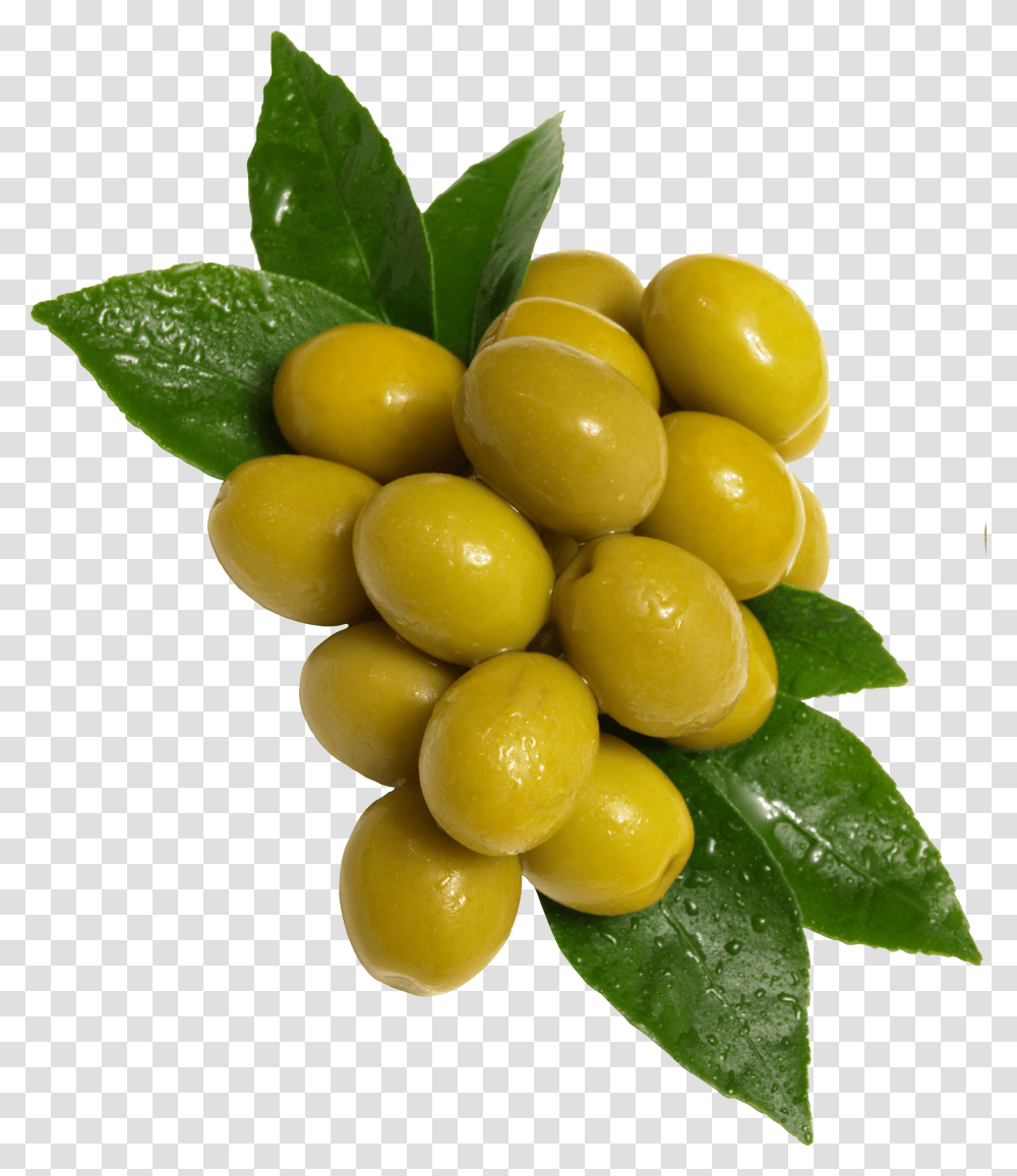 Olives, Vegetable, Plant, Fruit, Food Transparent Png