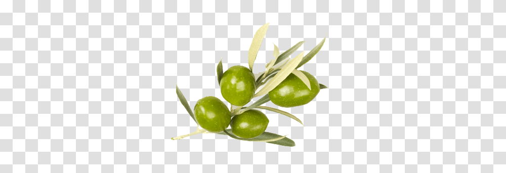 Olives, Vegetable, Plant, Fruit, Food Transparent Png