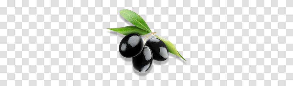 Olives, Vegetable, Plant, Fruit, Food Transparent Png