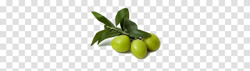 Olives, Vegetable, Plant, Fruit, Food Transparent Png