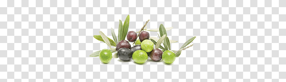 Olives, Vegetable, Plant, Fruit, Food Transparent Png