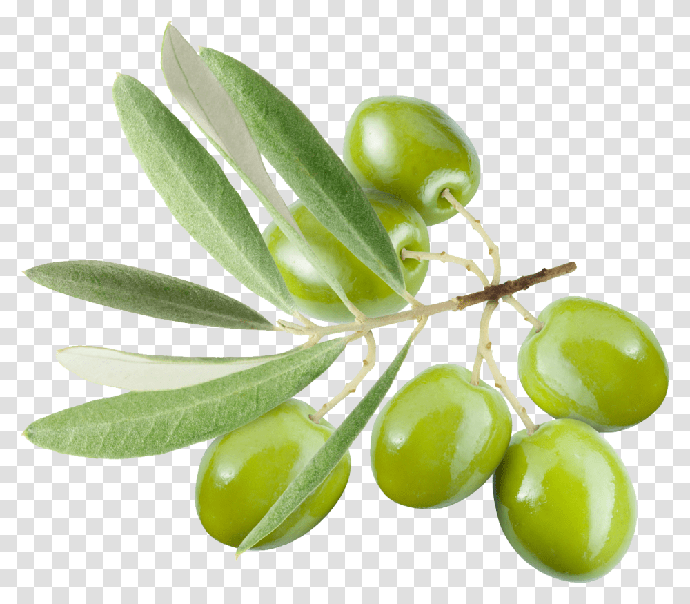 Olives, Vegetable, Plant, Fruit, Food Transparent Png