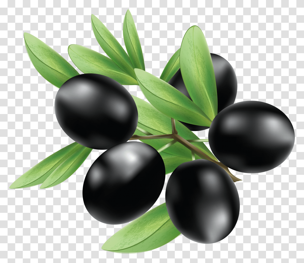 Olives, Vegetable, Plant, Fruit, Food Transparent Png