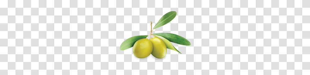 Olives, Vegetable, Plant, Fruit, Food Transparent Png