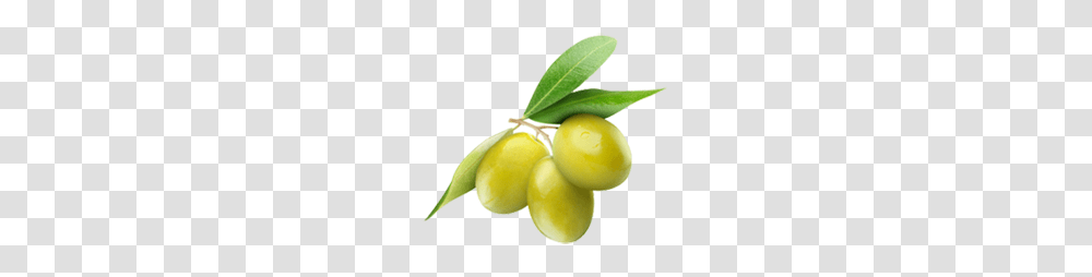 Olives, Vegetable, Plant, Fruit, Food Transparent Png