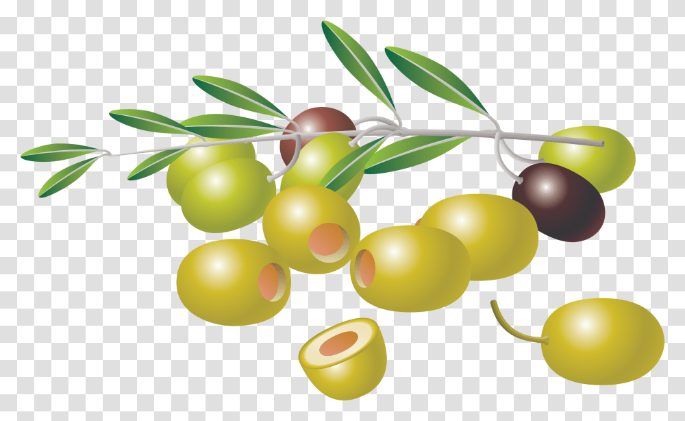 Olives, Vegetable, Plant, Fruit, Food Transparent Png