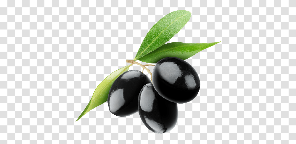 Olives, Vegetable, Plant, Fruit, Food Transparent Png